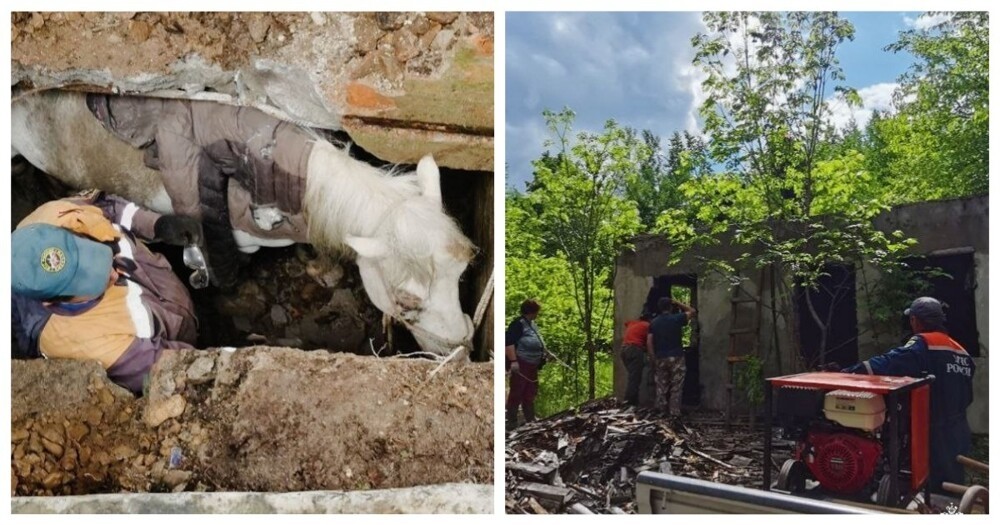 
        В Приморье спасли лошадь, провалившуюся в погреб    