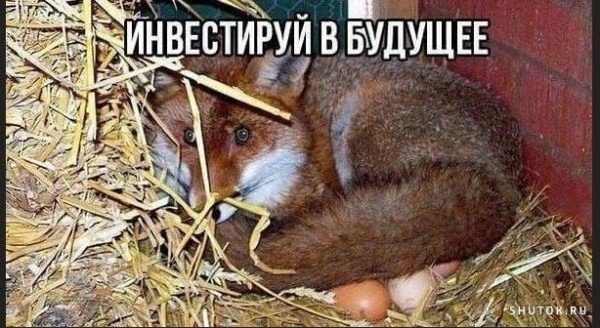 Мем №1463029