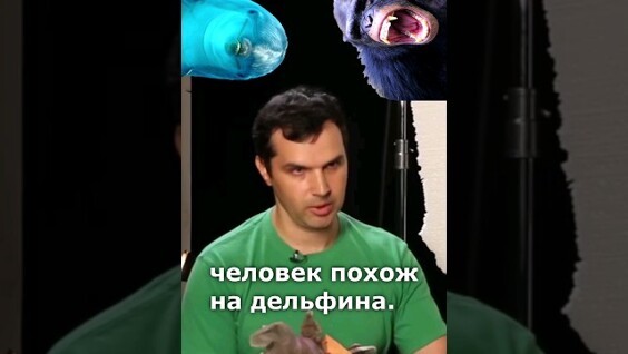 
        Научный журналист о сходстве дельфина и человека    