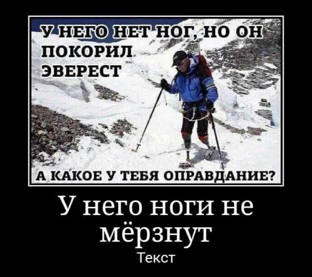 
			Демотиваторы №3431 (20 фото)