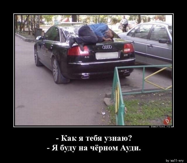 
			Демотиваторы №3420 (20 фото)