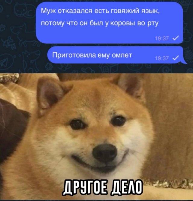 Подборка прикольных фото №3493