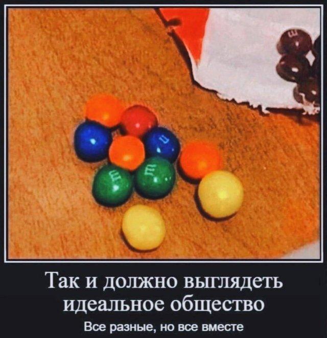 
			Демотиваторы №3431 (20 фото)