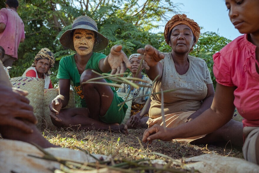 
        Победители конкурса Mangrove Photography Awards 2024    