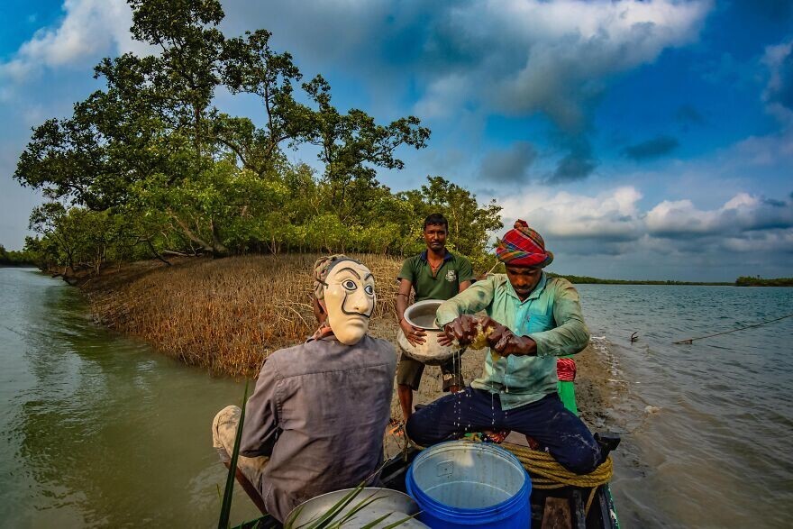 
        Победители конкурса Mangrove Photography Awards 2024    