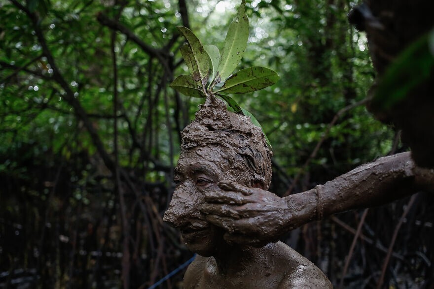 
        Победители конкурса Mangrove Photography Awards 2024    