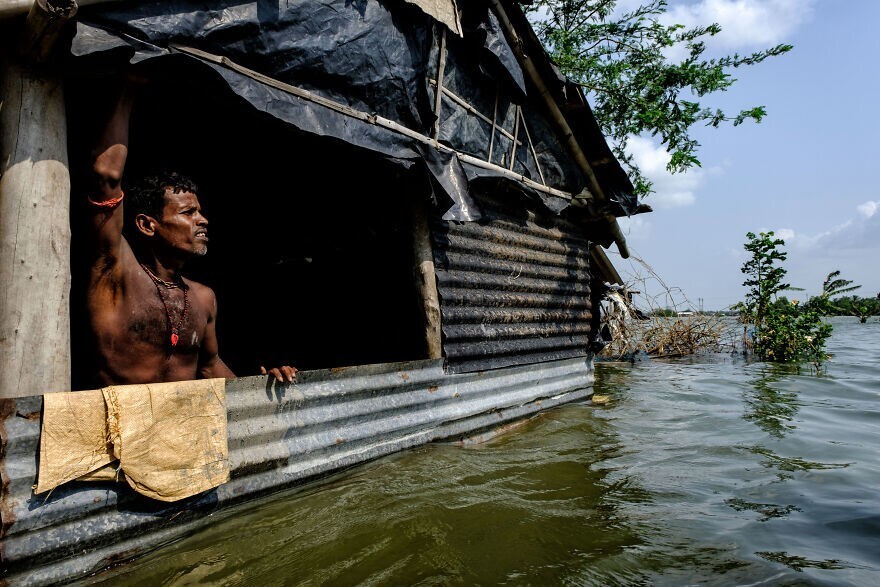 
        Победители конкурса Mangrove Photography Awards 2024    