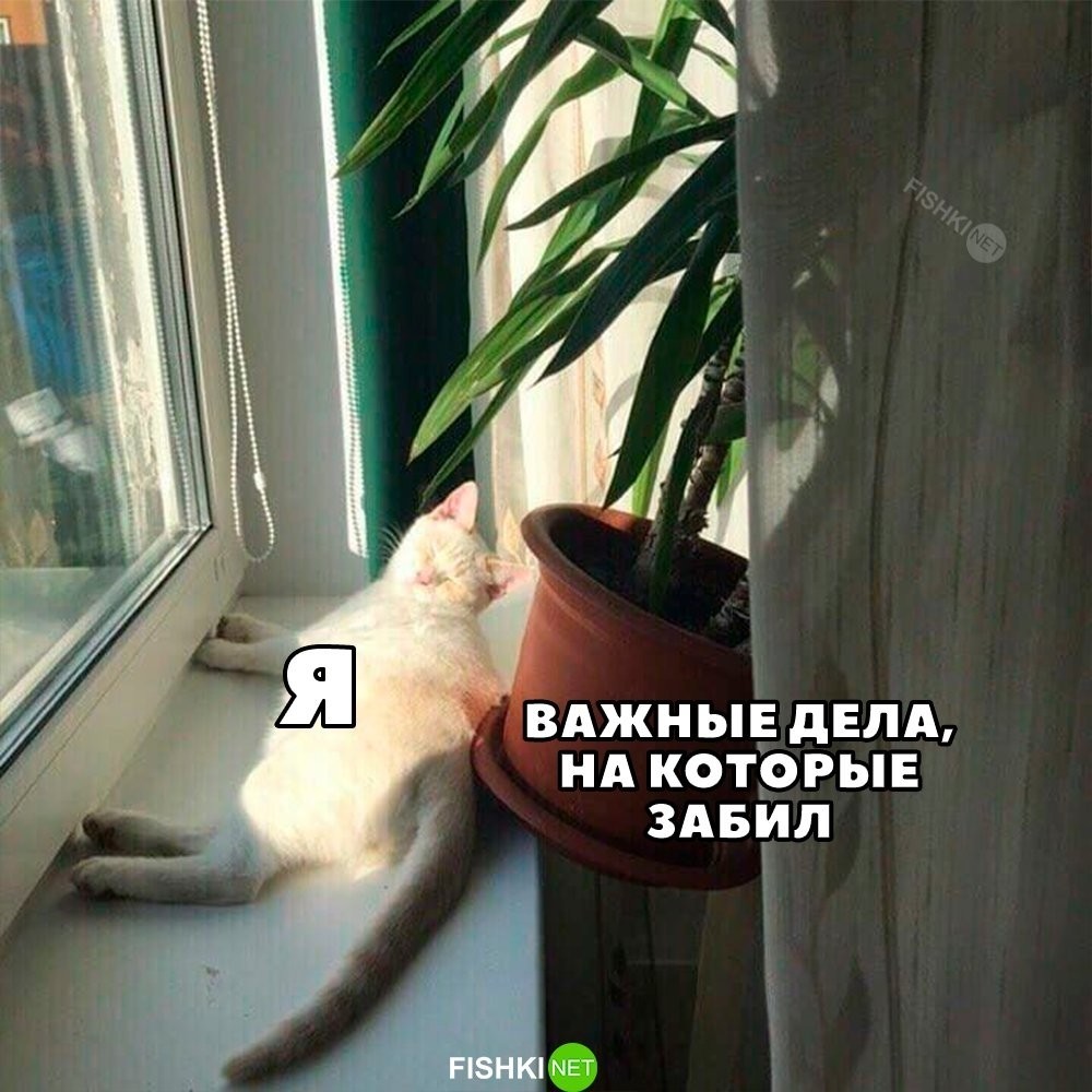 
        Не такие уж и важные дела    