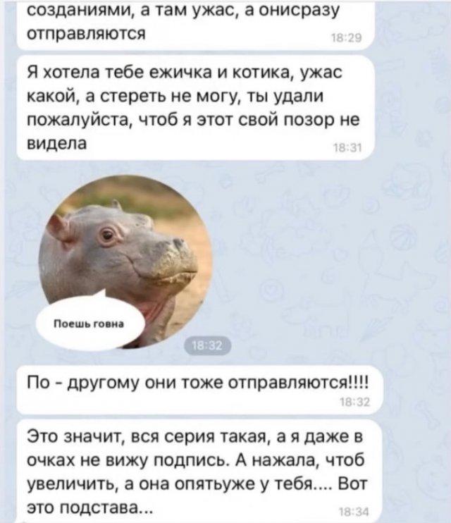 Когда учишь маму пользоваться мессенджерами