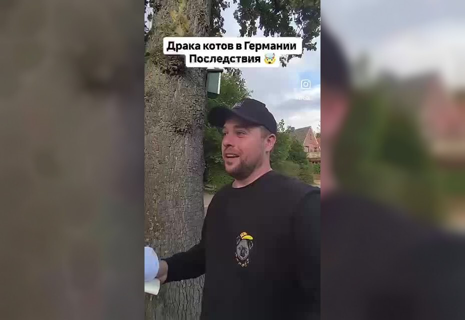 
        Проблемы немецких кошатников    
