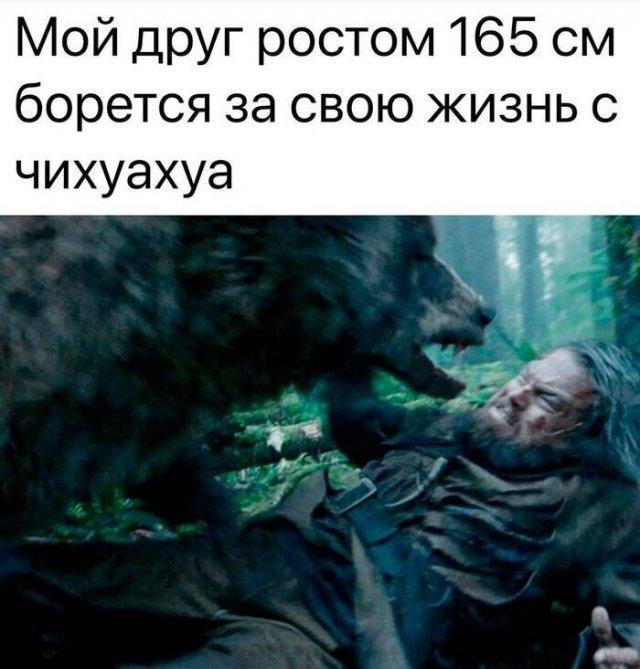 Подборка прикольных фото №3600