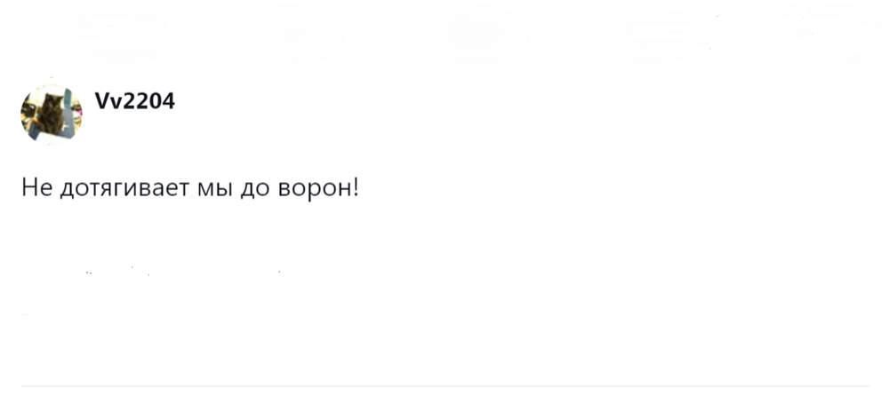 
        Эти удивительные вороны: пользователи поделились наблюдениями за нашими мудрыми пернатыми соседями    