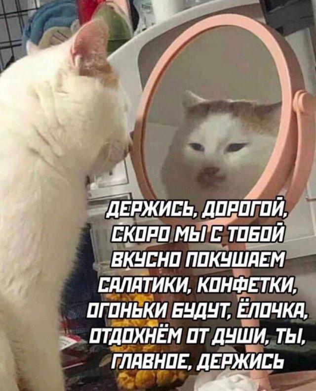 Новогодние мемы