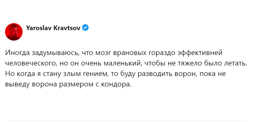 
        Эти удивительные вороны: пользователи поделились наблюдениями за нашими мудрыми пернатыми соседями    