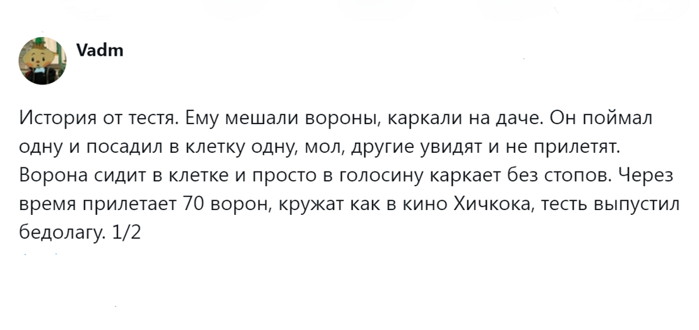 
        Эти удивительные вороны: пользователи поделились наблюдениями за нашими мудрыми пернатыми соседями    