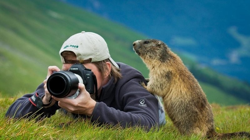 
        25+ удивительных созданий, которые искренне считают себя фотографами    