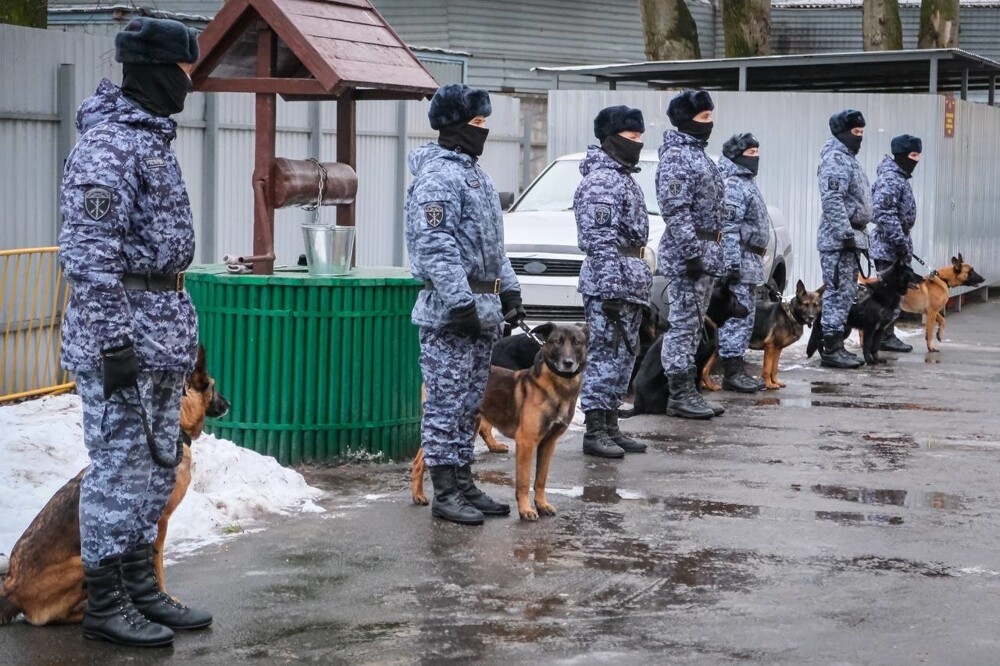 
        В Санкт-Петербурге служебную собаку впервые наградили медалью Росгвардии    