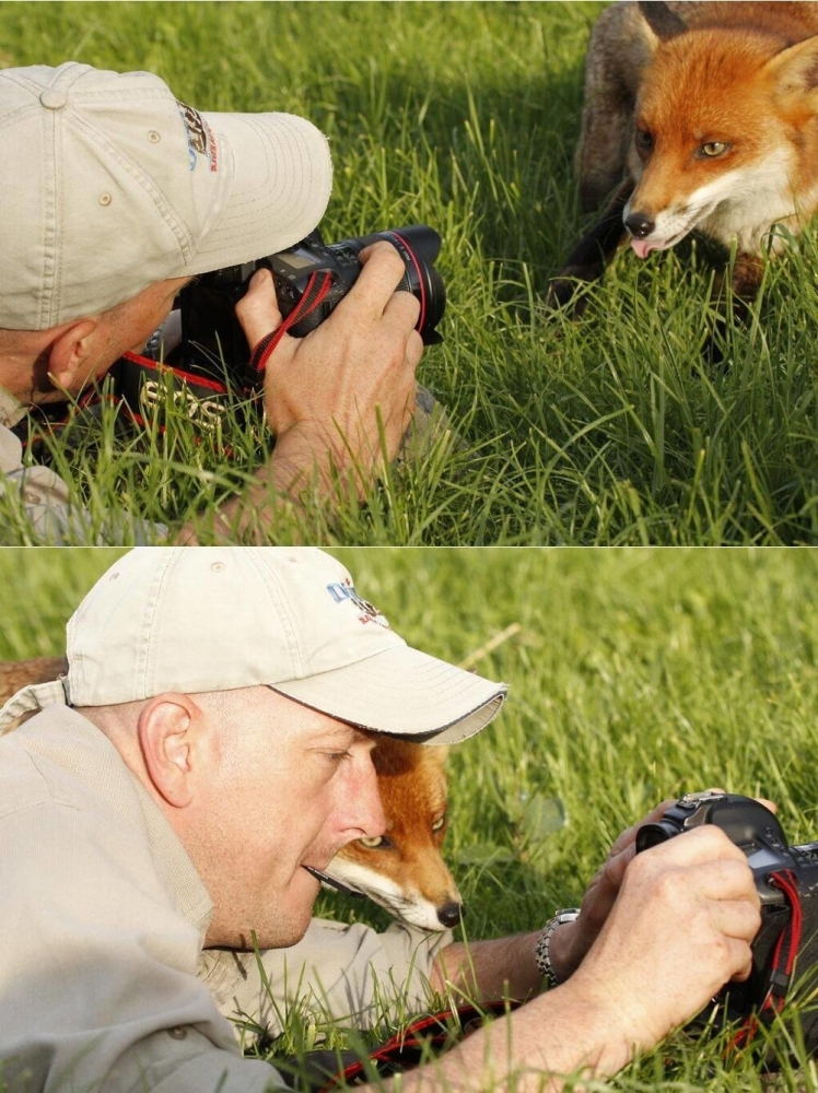 
        25+ удивительных созданий, которые искренне считают себя фотографами    