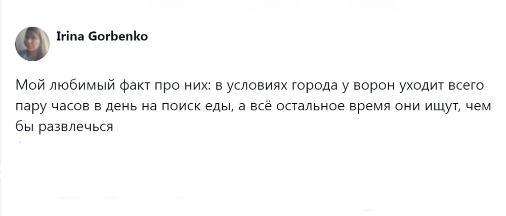 
        Эти удивительные вороны: пользователи поделились наблюдениями за нашими мудрыми пернатыми соседями    