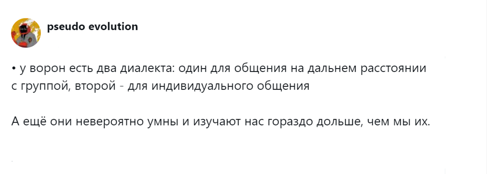 
        Эти удивительные вороны: пользователи поделились наблюдениями за нашими мудрыми пернатыми соседями    