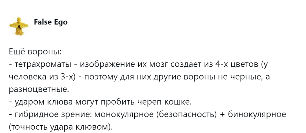 
        Эти удивительные вороны: пользователи поделились наблюдениями за нашими мудрыми пернатыми соседями    