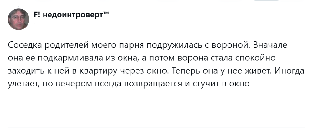 
        Эти удивительные вороны: пользователи поделились наблюдениями за нашими мудрыми пернатыми соседями    