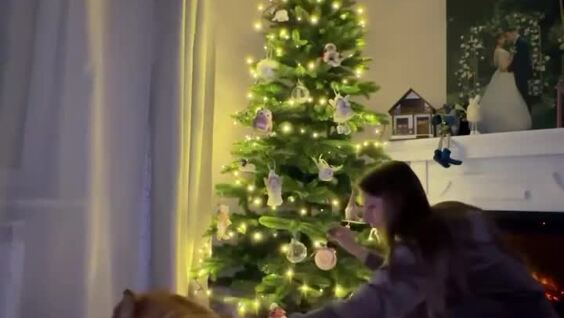 
        Корги "украсил" эстетическое видео хозяйки    