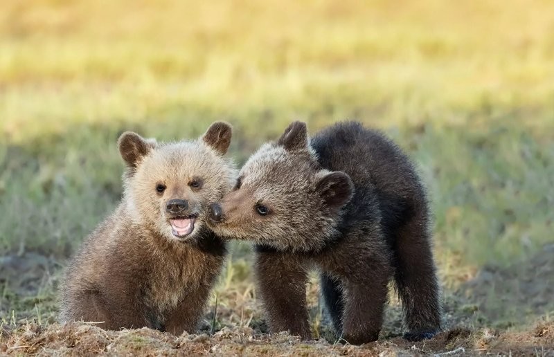 
        30 очаровательных малышей, в которых невозможно не влюбиться    