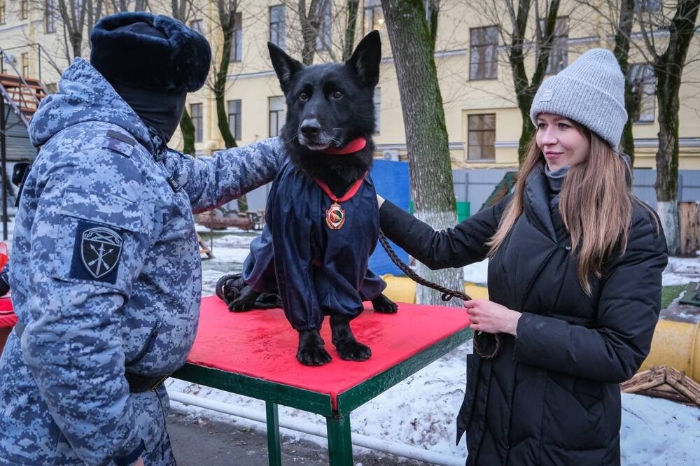 
        В Санкт-Петербурге служебную собаку впервые наградили медалью Росгвардии    