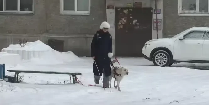 
        Слепую девушку выгнали из кинотеатра из-за пса-поводыря    