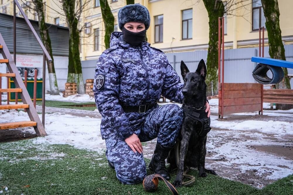 
        В Санкт-Петербурге служебную собаку впервые наградили медалью Росгвардии    