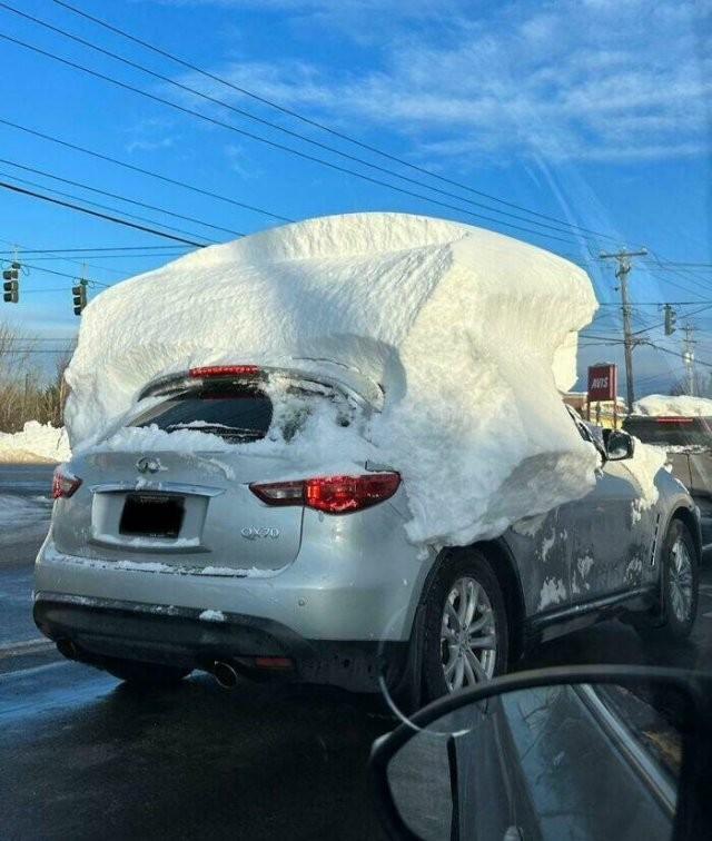 Водятлы на дорогах