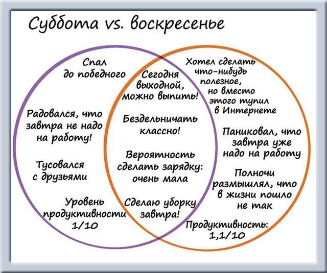 Забавные схемы от художника Мэтта Ширли