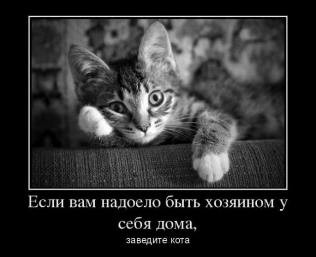 
			Демотиваторы №3586 (15 фото)