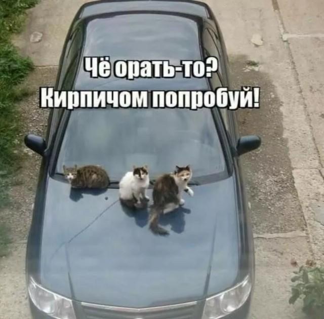 АВТОприкольные картинки