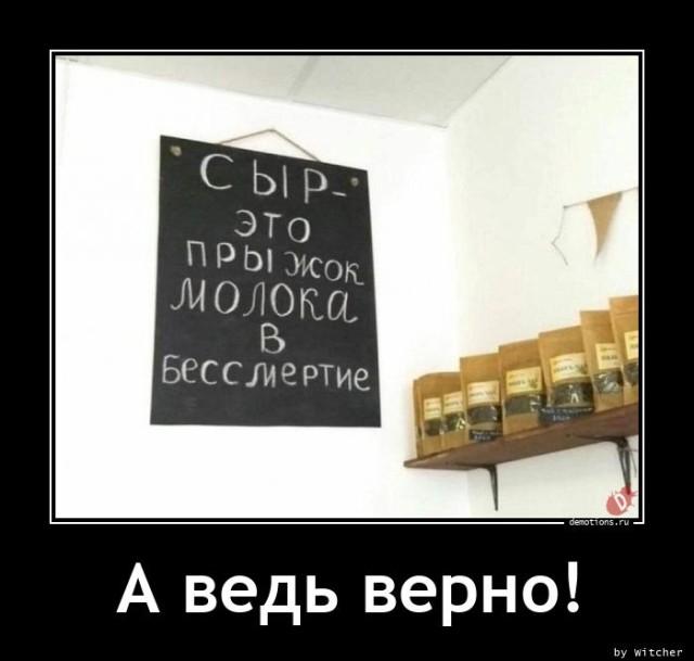 
			Демотиваторы №3586 (15 фото)