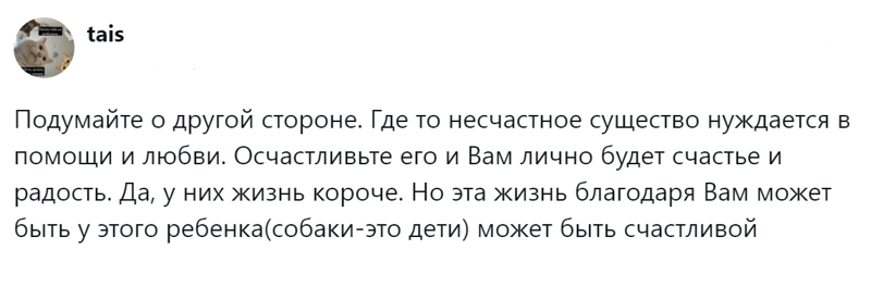 
        Радость дружбы и боль потери: пользователи обсудили плюсы и минусы собаки в семье    