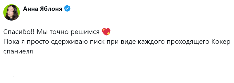 
        Радость дружбы и боль потери: пользователи обсудили плюсы и минусы собаки в семье    