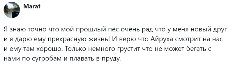 
        Радость дружбы и боль потери: пользователи обсудили плюсы и минусы собаки в семье    