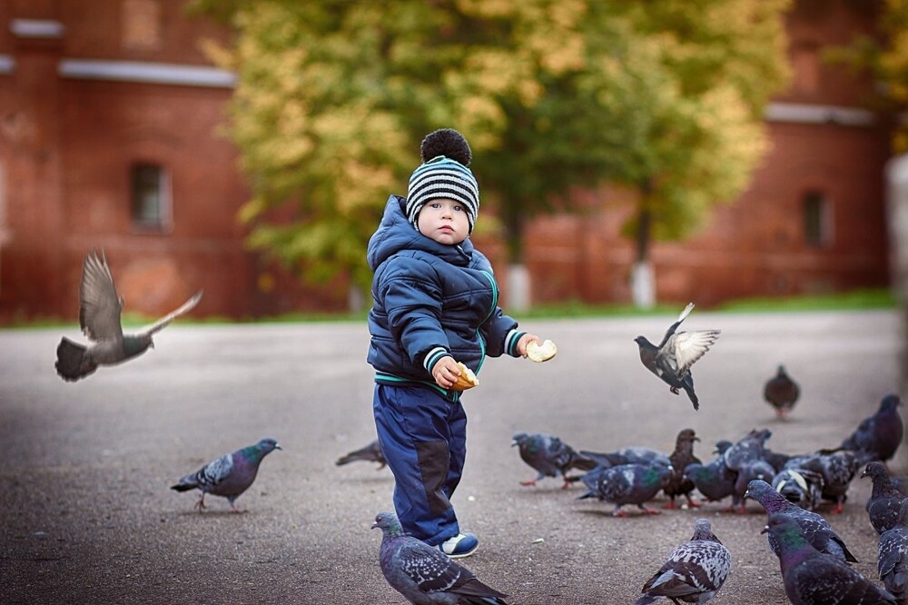 
        Одна птица разных городов    