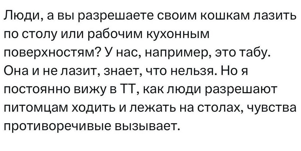 
        Пользователи показывают и рассказывают, как «отучить» кошек залезать на стол    