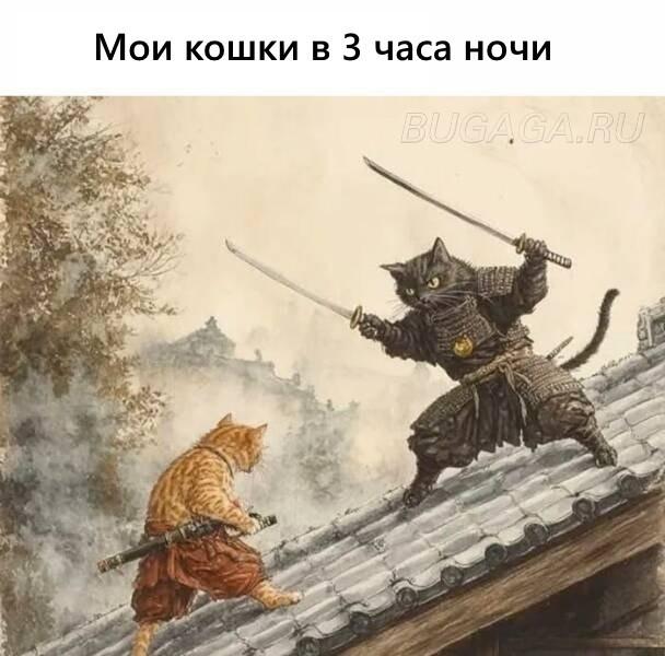 Прикольные КОТОмемы