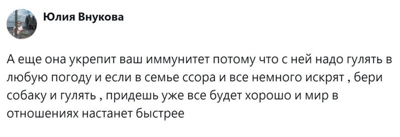 
        Радость дружбы и боль потери: пользователи обсудили плюсы и минусы собаки в семье    