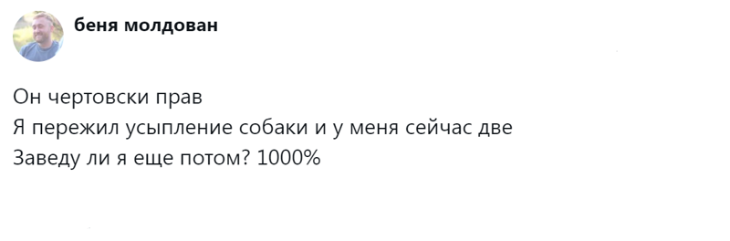 
        Радость дружбы и боль потери: пользователи обсудили плюсы и минусы собаки в семье    