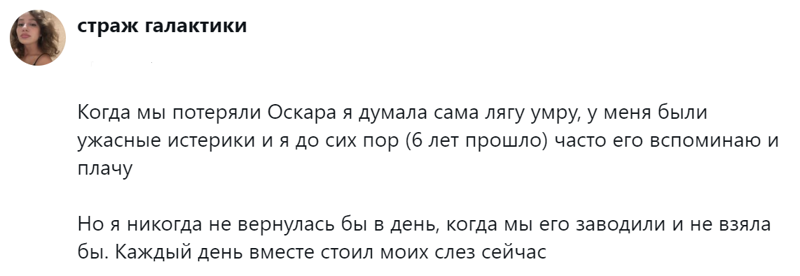 
        Радость дружбы и боль потери: пользователи обсудили плюсы и минусы собаки в семье    