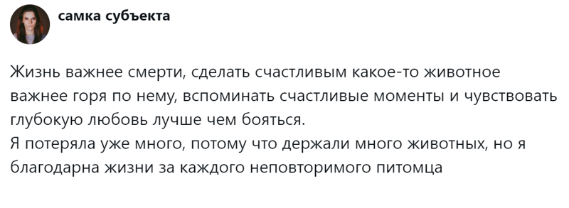 
        Радость дружбы и боль потери: пользователи обсудили плюсы и минусы собаки в семье    