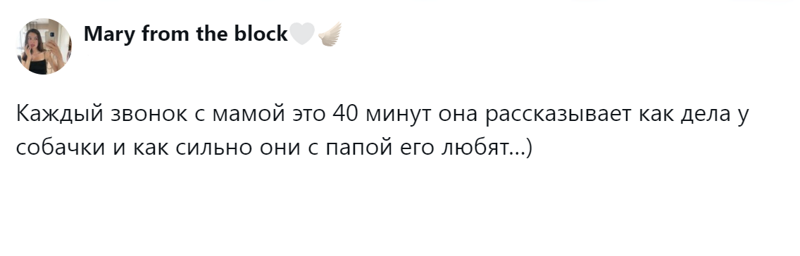 
        Радость дружбы и боль потери: пользователи обсудили плюсы и минусы собаки в семье    