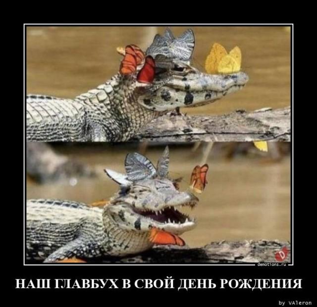 
			Демотиваторы №3586 (15 фото)