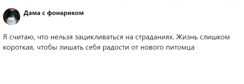 
        Радость дружбы и боль потери: пользователи обсудили плюсы и минусы собаки в семье    