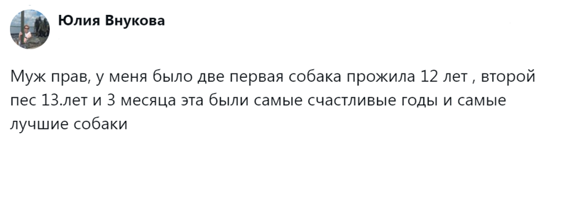 
        Радость дружбы и боль потери: пользователи обсудили плюсы и минусы собаки в семье    